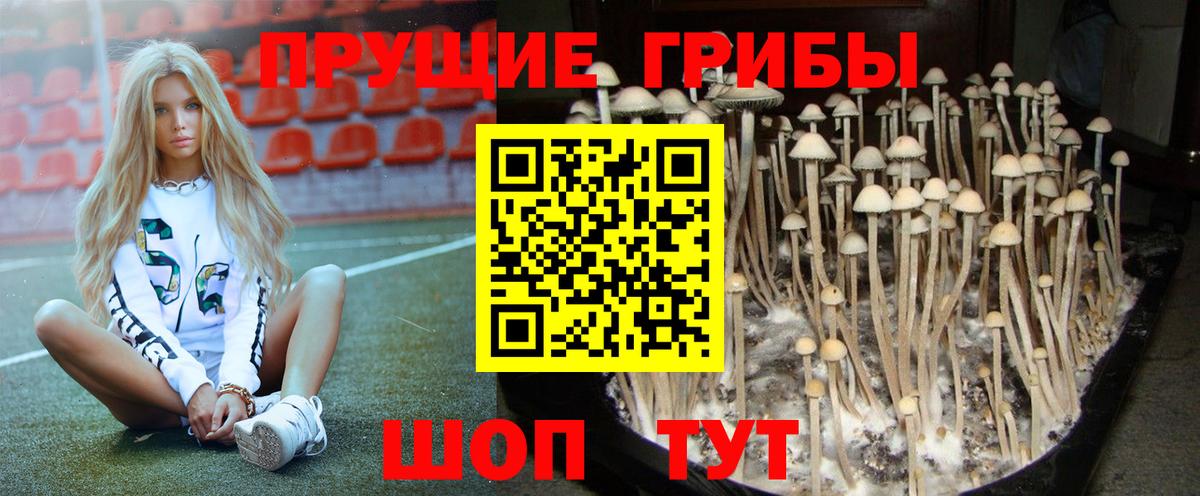 Псилоцибиновые грибы прущие грибы  Галлюциногенные грибы Psilocybe  Вход с VPN  Астрахань 